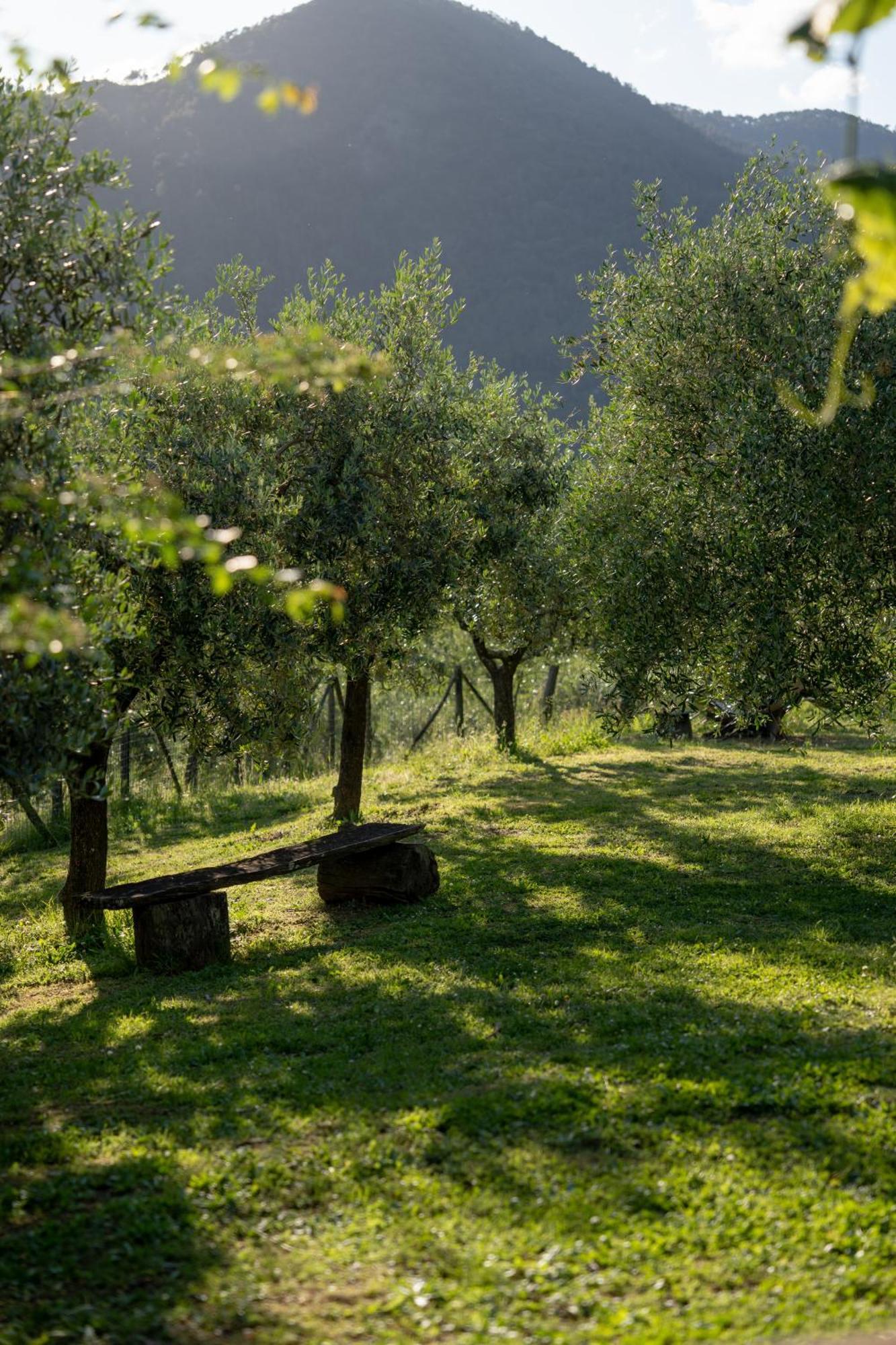 Agriturismo I Due Ghiri - Cinque Terre Calice al Cornoviglio Экстерьер фото