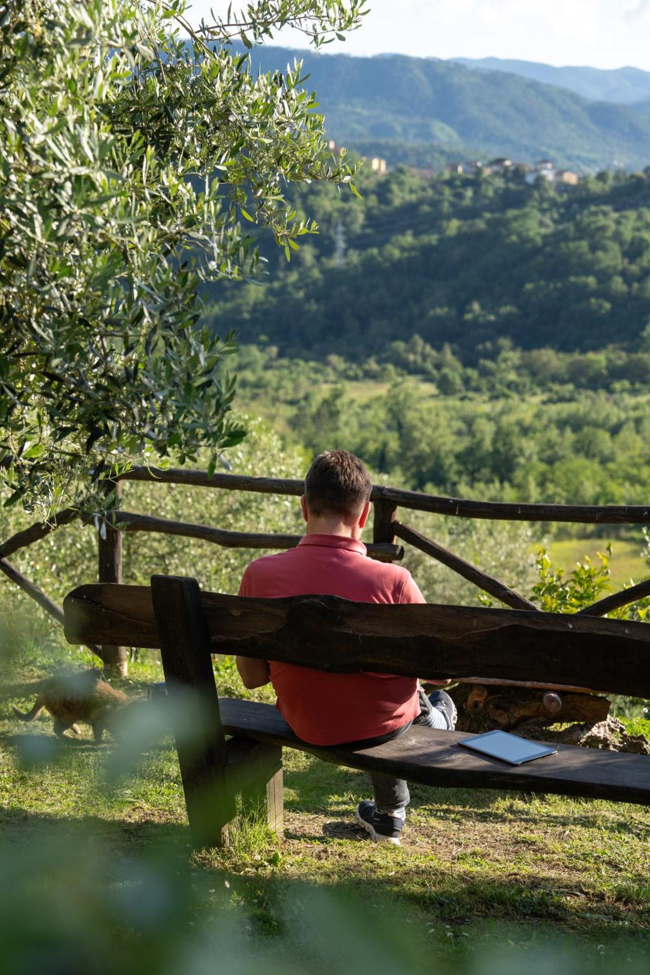 Agriturismo I Due Ghiri - Cinque Terre Calice al Cornoviglio Экстерьер фото
